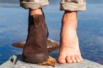 skor Lems chelsea boot vattentät espresso män 668DH43 - Image 2
